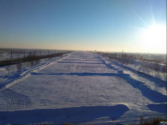 山东猪坚强,猪坚强512