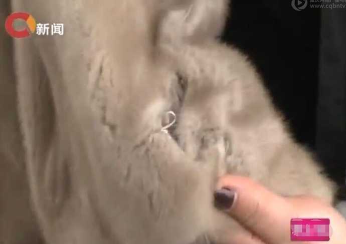 女子花6900买皮草不到1天要退货,女子花1000元买衣服后续