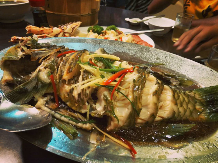 帕劳怎么玩,我来教你怎么玩打野