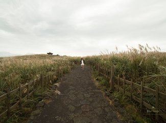 与游轮的亲密接触：精致邮轮千禧号,日韩线）内附有8090后游轮游正确打开方式专业摄影美图