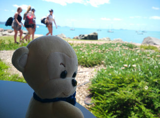 澳洲旅游悉尼墨尔本攻略,澳洲悉尼向墨尔本自驾游