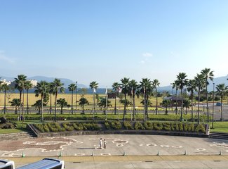 与游轮的亲密接触：精致邮轮千禧号,日韩线）内附有8090后游轮游正确打开方式专业摄影美图