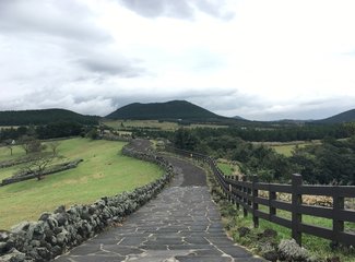 与游轮的亲密接触：精致邮轮千禧号,日韩线）内附有8090后游轮游正确打开方式专业摄影美图