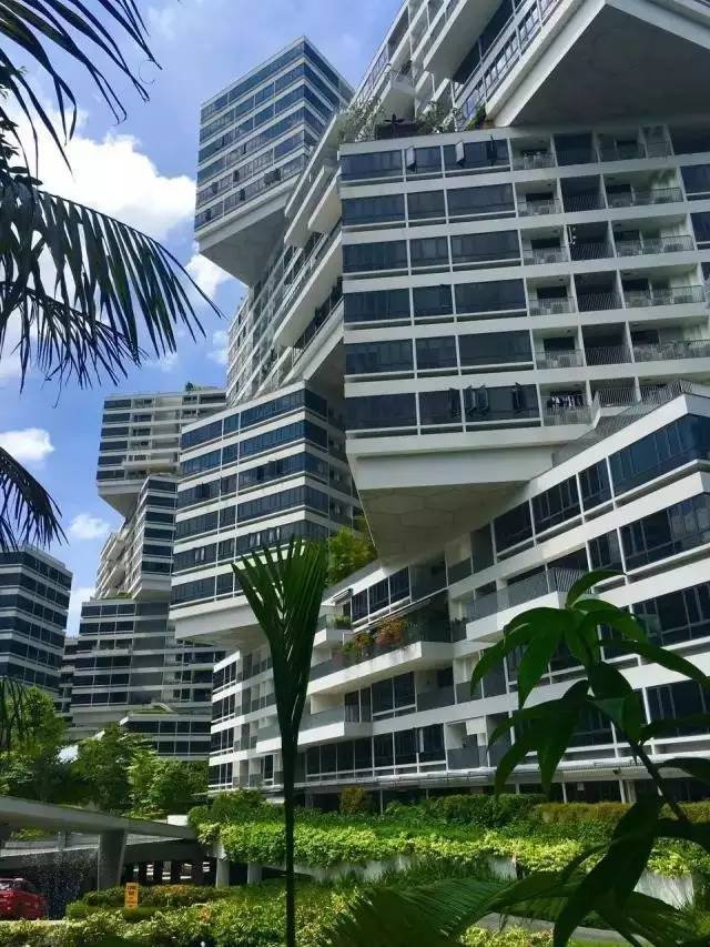 打造设计师社群,设计师交流社群