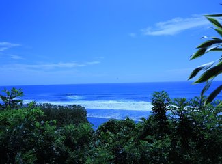 巴厘岛单独旅行,巴厘岛一天自由行去火山来得及吗