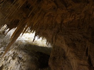 新西兰南岛顺时针逆时针,新西兰四个人游玩大概多少钱