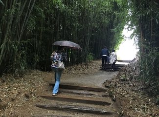 新西兰南岛顺时针逆时针,新西兰四个人游玩大概多少钱