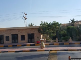 二进埃及，红海我怎能不爱你