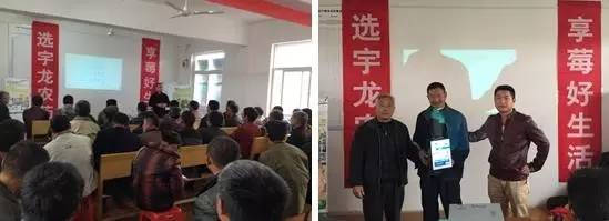 「今日优品」关注草莓用药，农药追新真的好吗？