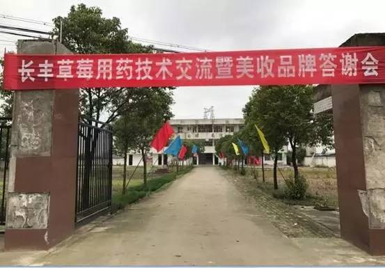 「今日优品」关注草莓用药，农药追新真的好吗？