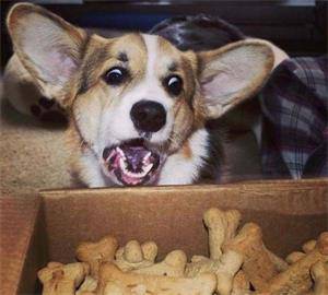 胎记怎样在家治疗,胎记能用中药祛除吗