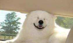 胎记怎样在家治疗,胎记能用中药祛除吗