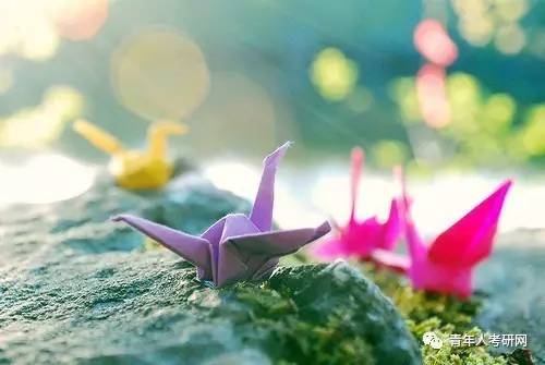 考研没考上下步该怎么办,当考研遇上期末