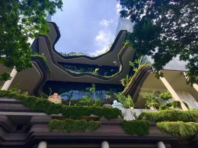 打造设计师社群,设计师交流社群