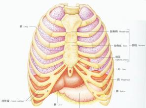 手术患者跌倒坠床,手术过程中摔下手术台