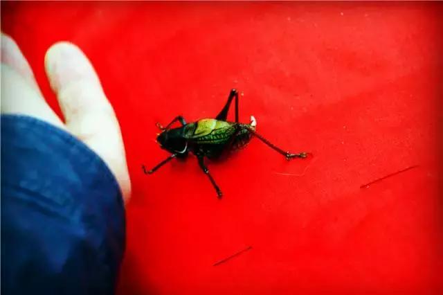 天津淘宝街搬哪去了,天津淘宝街地址有哪些