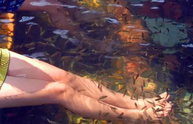 清远英德奇洞温泉度假村,清远市英德奇洞温泉