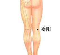 字里藏医解读,字里藏医