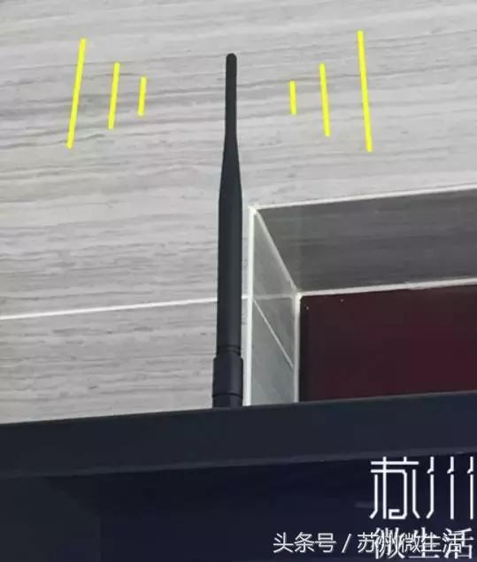 苏州的好看的东西,苏州vs纽约