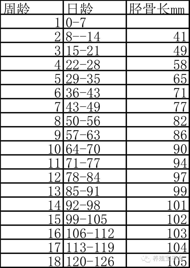爱佳集团杨经理,杨文斌的养殖场