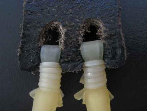 弹弓怎么才能绑好皮筋,弹弓怎样绑皮筋不容易断