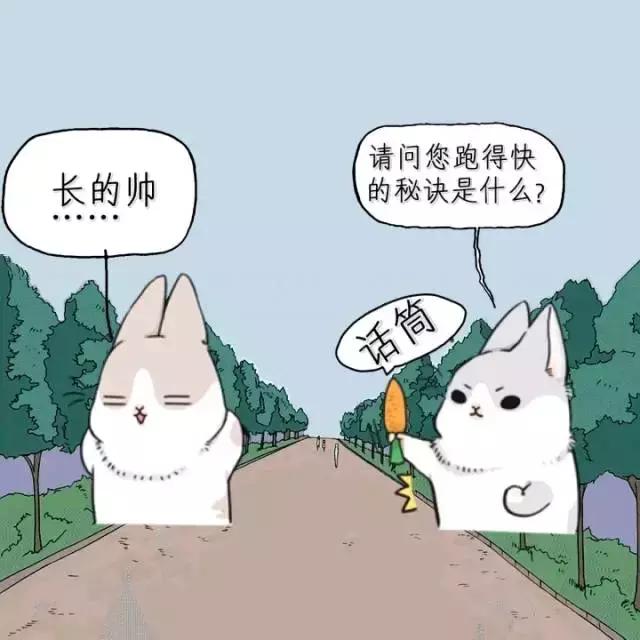 这些兵哥哥用网言网语记录军营生涯，6到飞起！