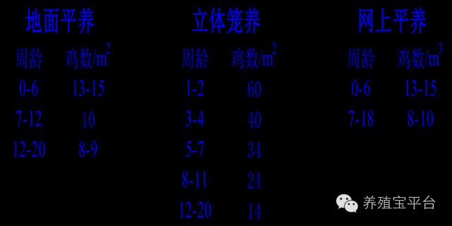 爱佳集团杨经理,杨文斌的养殖场