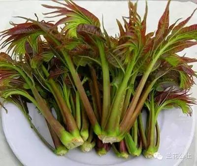 五种食物很难闻，但对女性很有益！