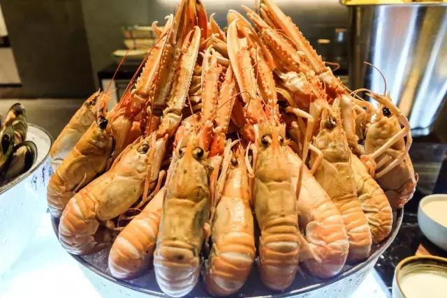 去上海国家会展中心路线,国家会展中心上海洲际酒店