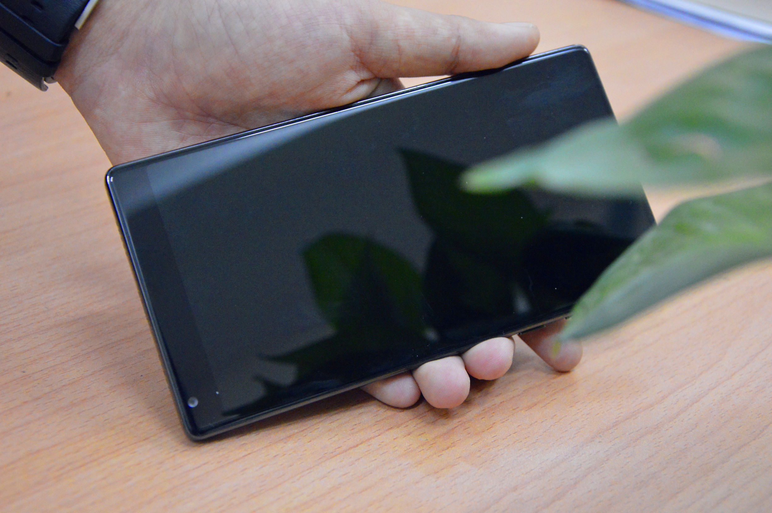 taster手机是什么意思,taster最新版