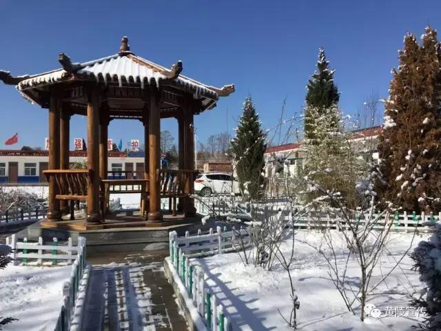 一场雪黄陵就美成了人间仙境