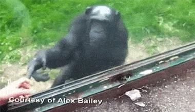 异地女友给我寄了一封信,异地女朋友给我寄的快递内容