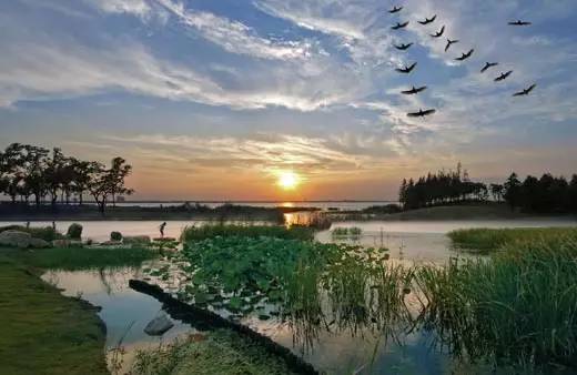 昆山现在的房子值不值得买,有多少人买不起昆山的房子