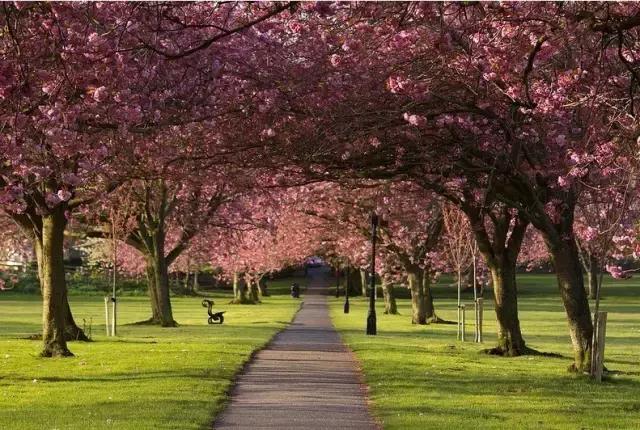 鎮﹁娉板浗鏃呰,浜氭床寤変环鑸┖瀹樼綉