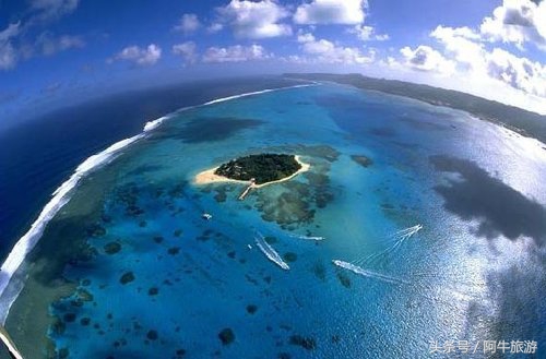 春日美丽的风景,春日里的风景美景