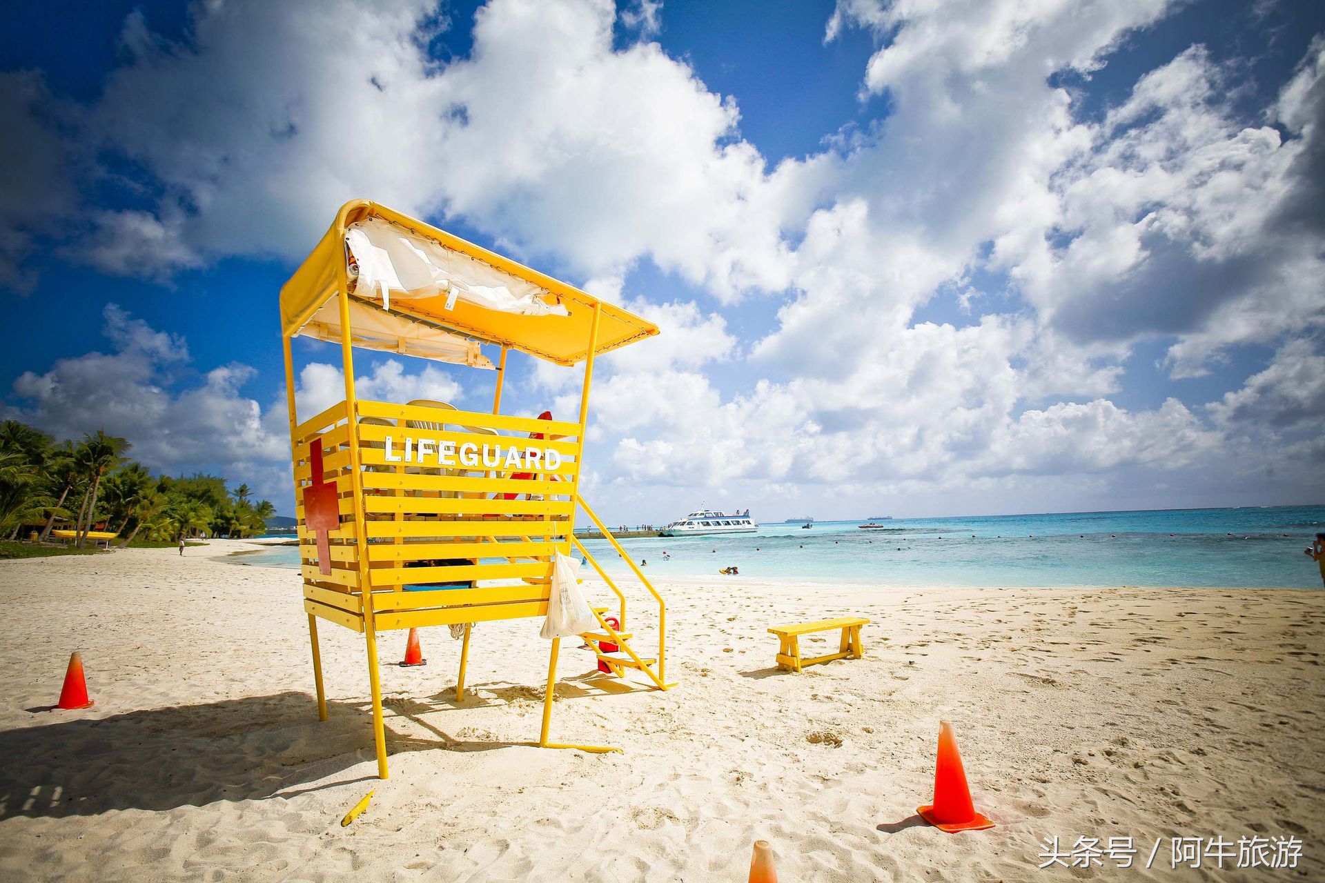 春日美丽的风景,春日里的风景美景