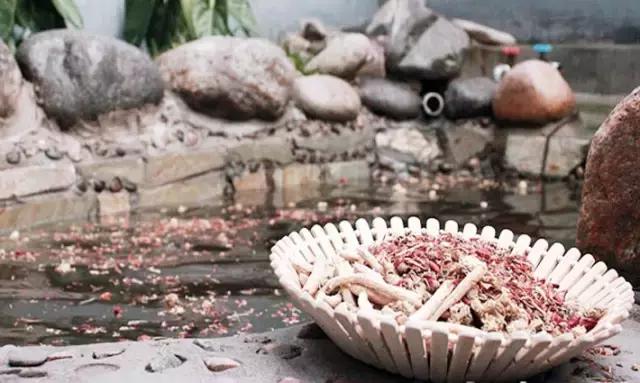 北京二人私密温泉价格表,北京四惠9号温泉门票多少钱