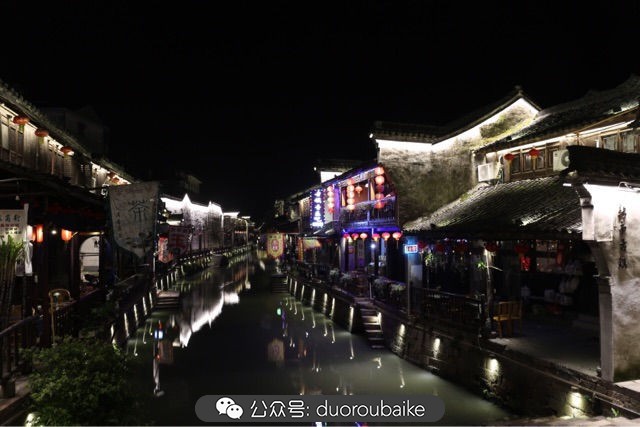 回忆之旅最适合带的植物,野外旅游必须记住的植物