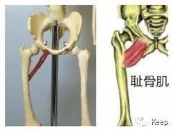 婴儿o型腿怎么矫正最有效的方法,o型腿怎么通过运动矫正