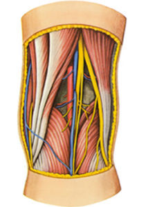 字里藏医解读,字里藏医