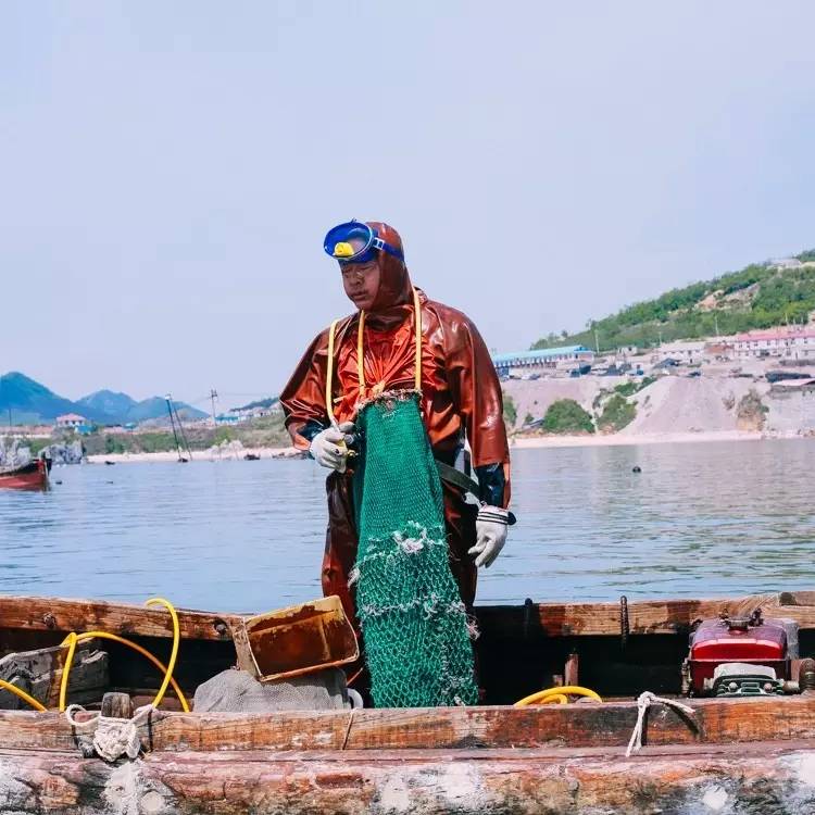 清新的蓝色有着大海的气息,如果蓝色
