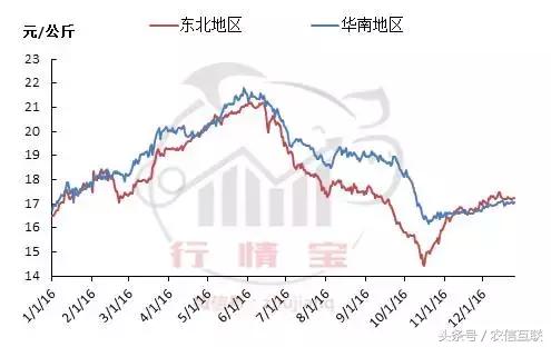 今年养猪预测,现在猪价下跌养猪还来得及吗
