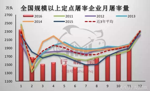 今年养猪预测,现在猪价下跌养猪还来得及吗