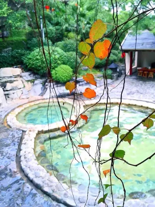 清远英德奇洞温泉度假村,清远市英德奇洞温泉