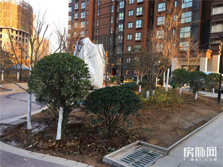 见证西安的发展,见证西安走进碑林