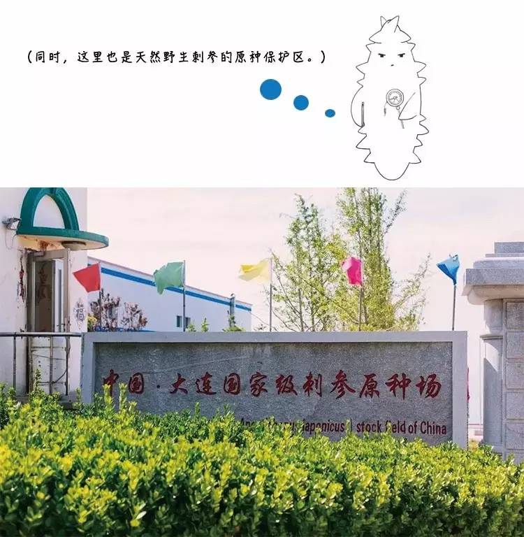 清新的蓝色有着大海的气息,如果蓝色