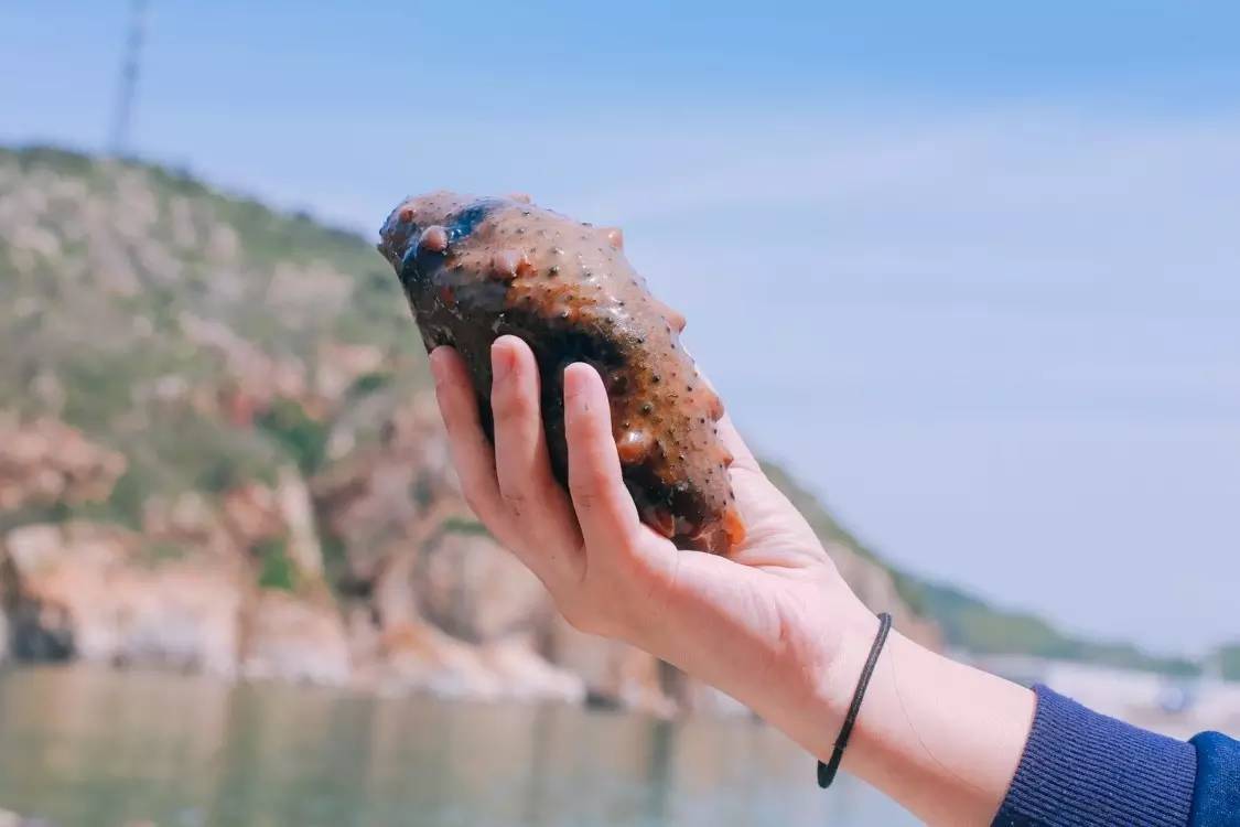 清新的蓝色有着大海的气息,如果蓝色