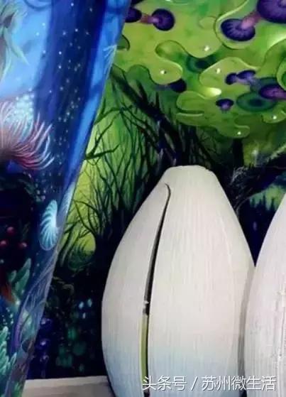 苏州的好看的东西,苏州vs纽约