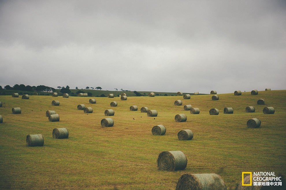 英爱岛行：寂静与喧哗，理智与情感