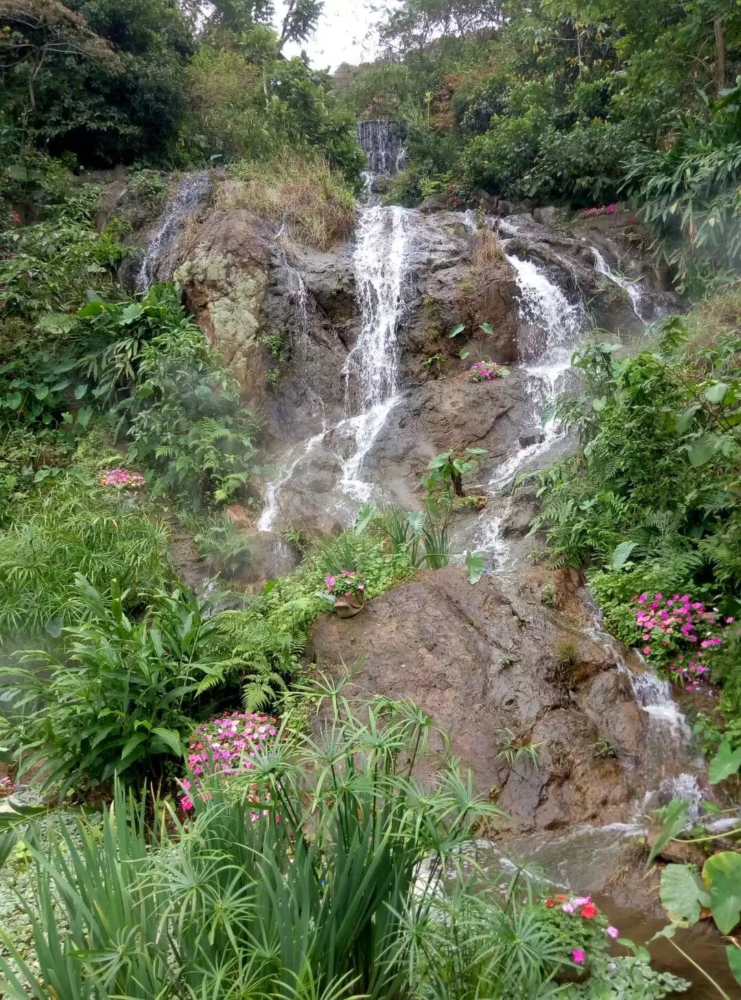 深圳青青世界酒店,深圳青青世界旅游大全